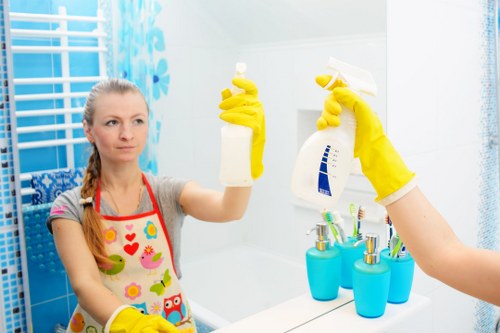 Professional carpet cleaning in a Catford home living room