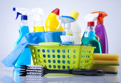 Professional carpet cleaning in a Catford home interior