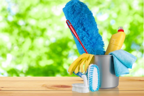 Catford Carpet Cleaners accessibility statement introduction