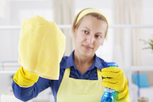 Steam carpet cleaning in Catford for a fresher home