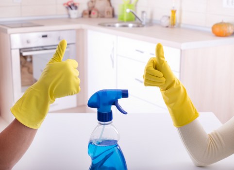 Governing law and contract conditions for Catford Carpet Cleaners