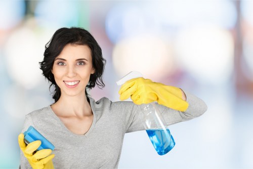 Cleaner refreshing a carpet with hot water extraction in Catford