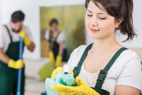 Professional stain treatment for upholstery in Catford