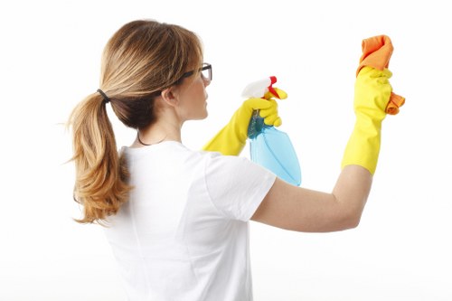 Deep carpet cleaning removing embedded dirt from fibres