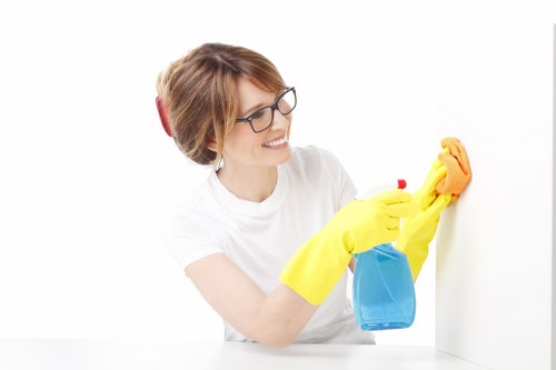 Deep carpet cleaning equipment for pet stain odour removal in Catford